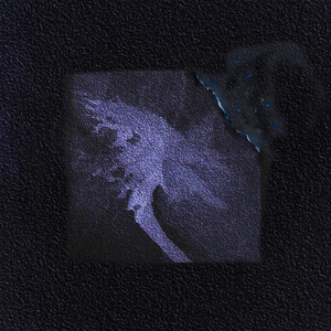 大学生操逼免费视频
